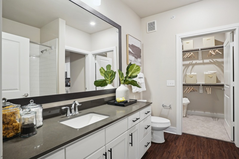 Lakeview at the Gates of Prosper Image 7