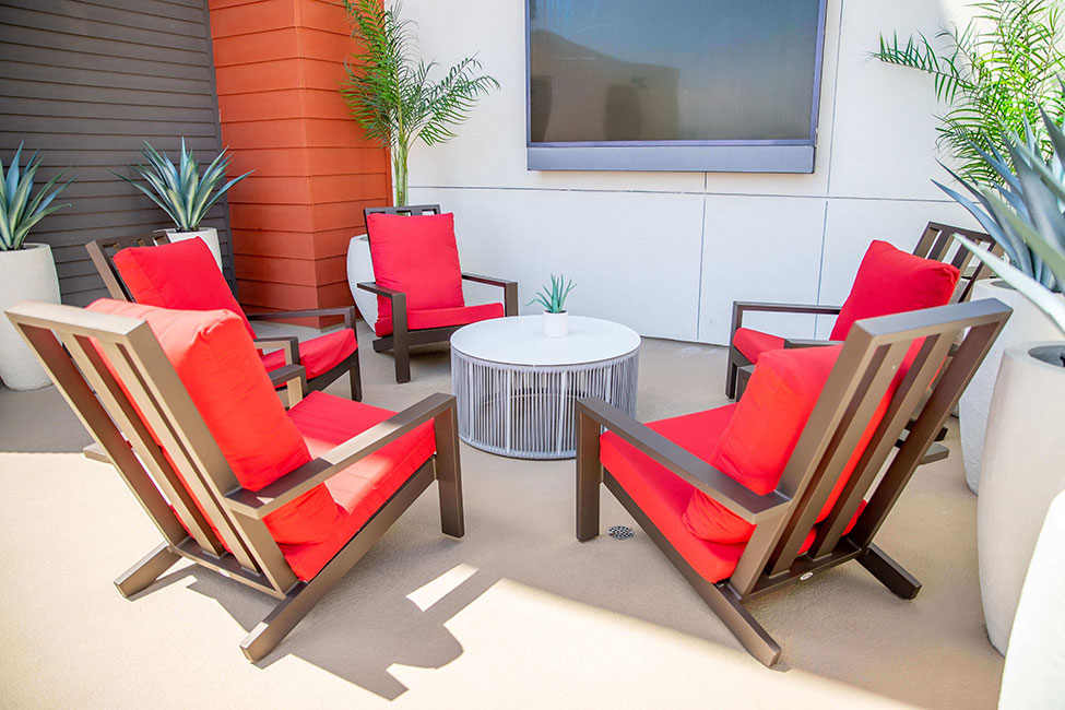 Vive on The Park Image 7