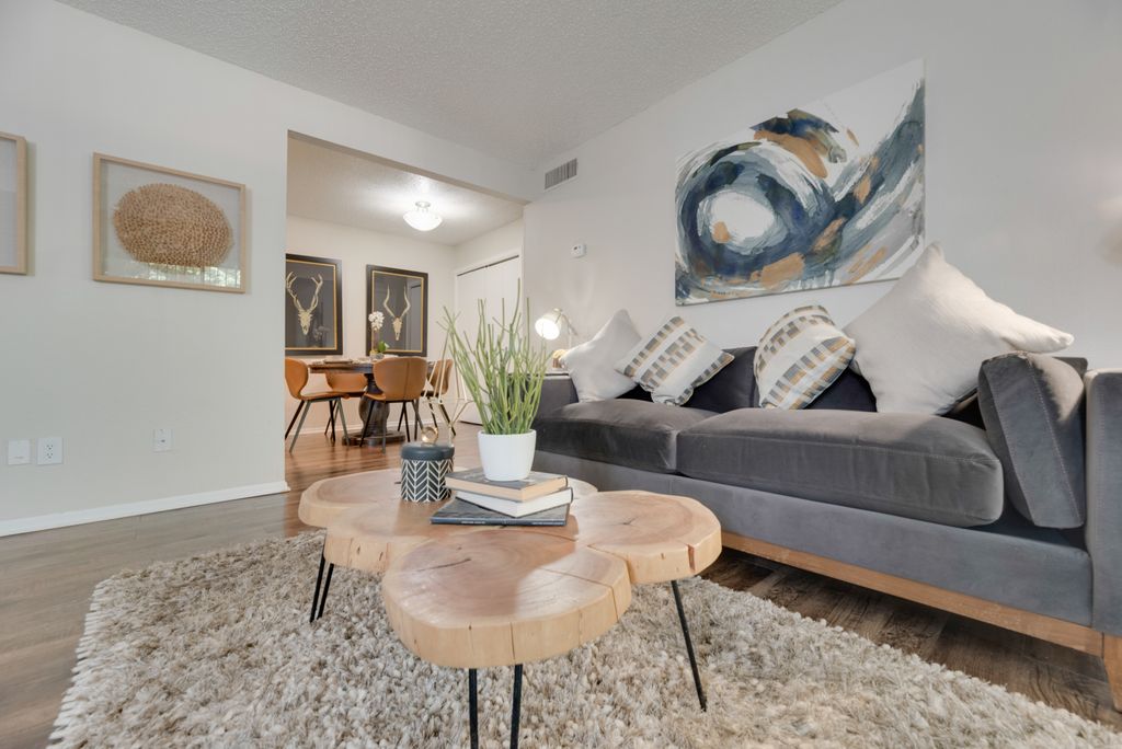 The Park at Wintergreen Apartments | DeSoto, TX | Spacious Living Room