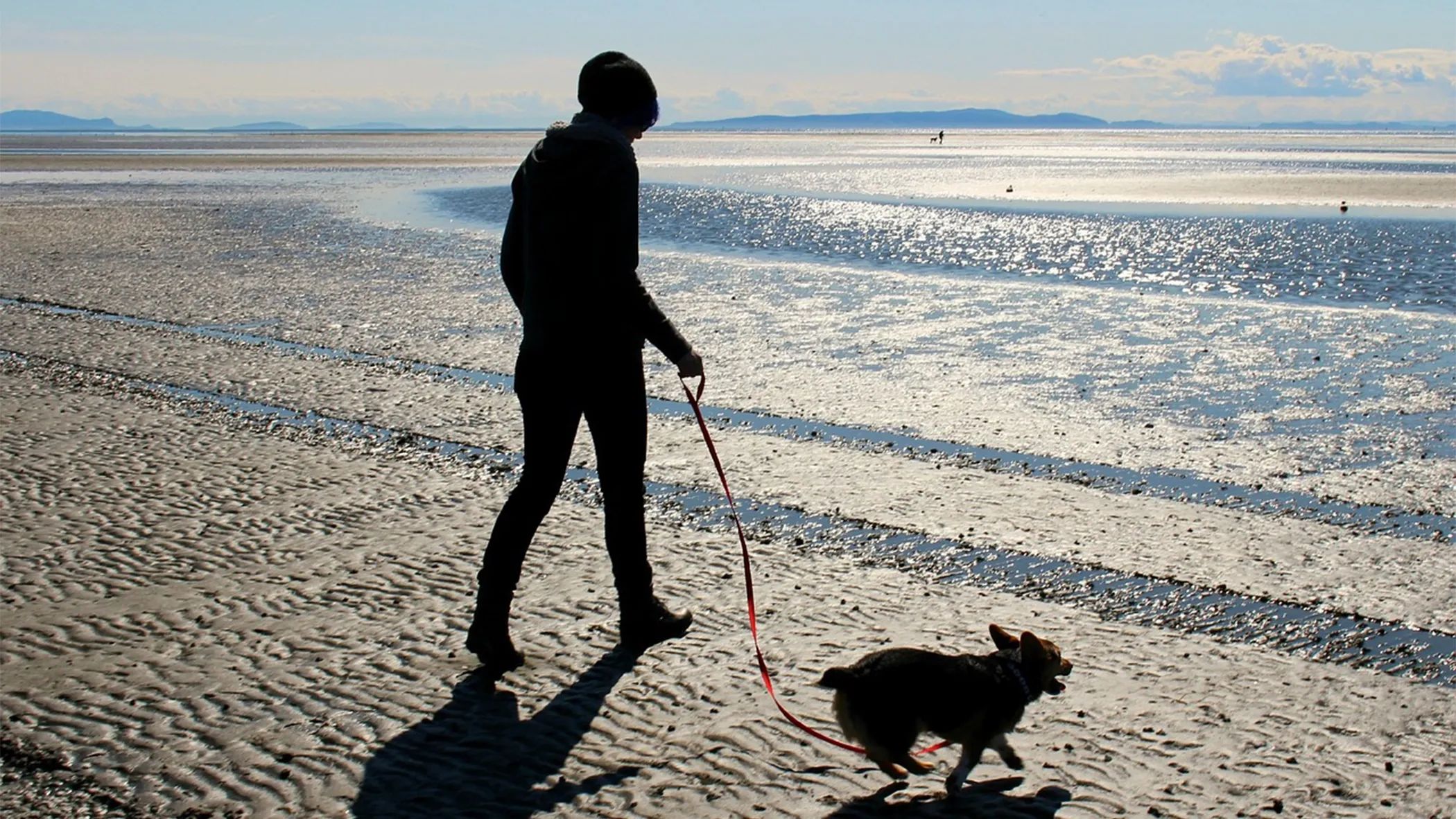 Bark Beach at Spanish River is just moments from Boca Winds for adventure-filled days for you and your pet!