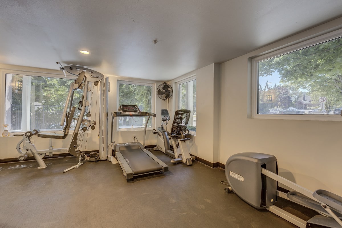 Sir Gallahad Image 3