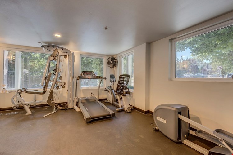 Sir Gallahad Image 3