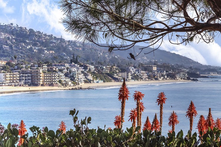 Camden Crown Valley Image 32