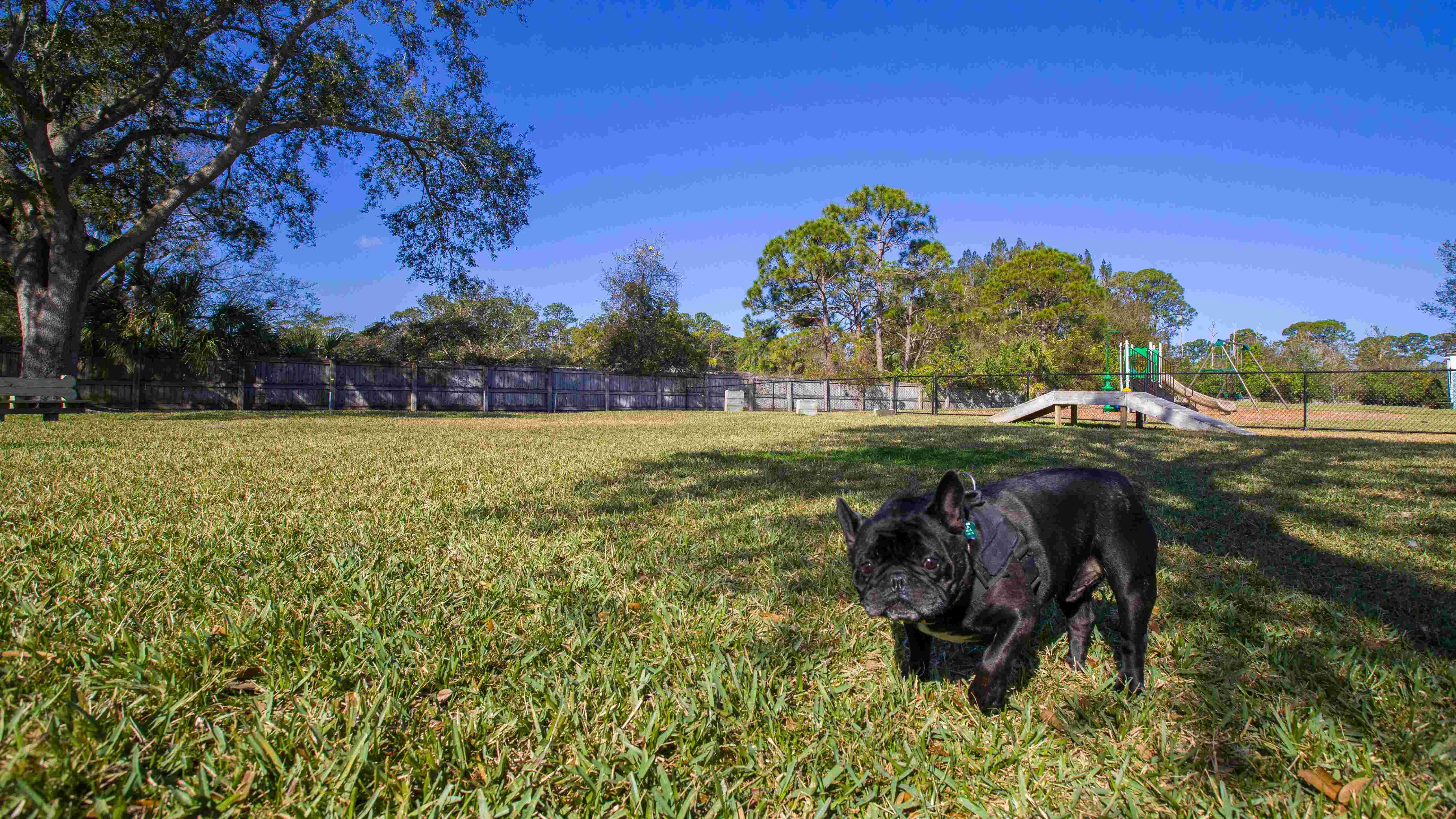 Embrace pet-friendly living in Melbourne at Grand Oaks. Our community offers an expansive off-leash dog park so your dog can get some exercise and socialization.