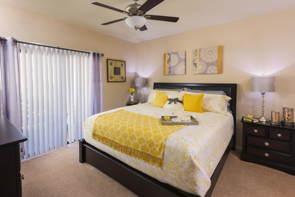 San Antigua In Mccormick Ranch Image 15