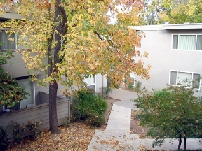 Villa Serrano Image 3