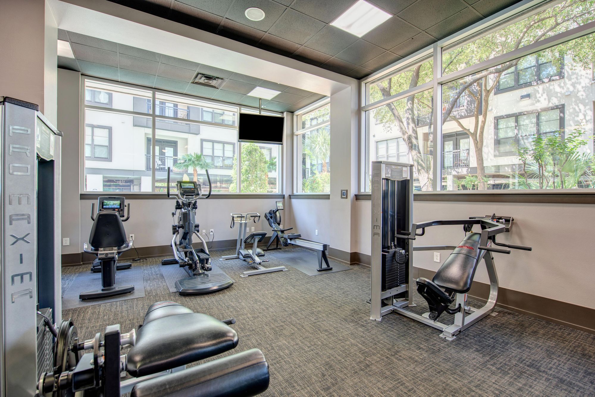 Cortland Halstead Image 14