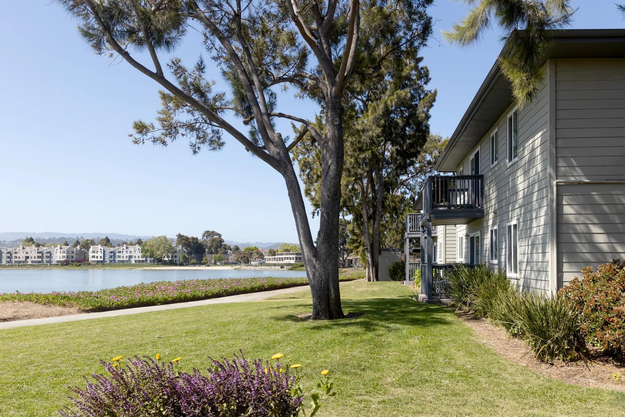 Chesapeake Point Image 6