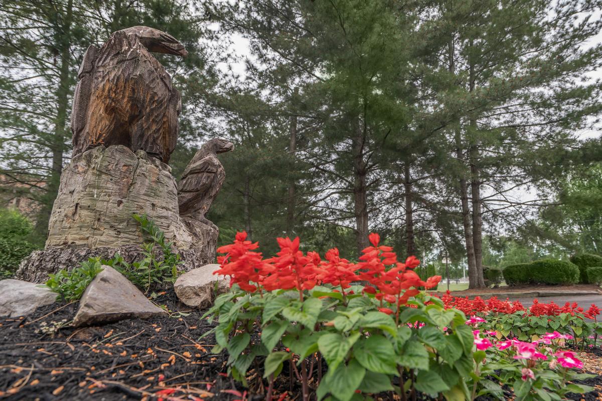 Eagles Crest at Wallace Image 2