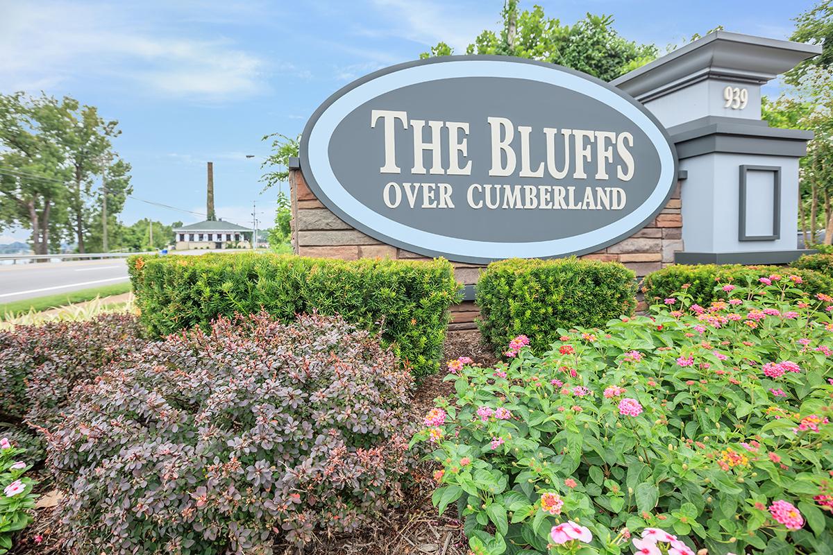 Bluffs over Cumberland Image 1