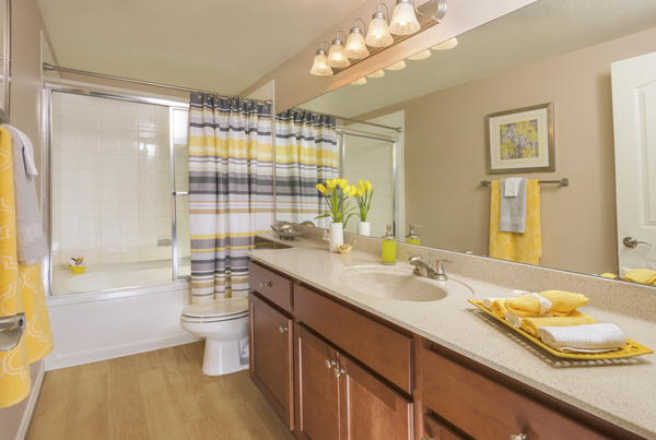 San Antigua In Mccormick Ranch Image 18