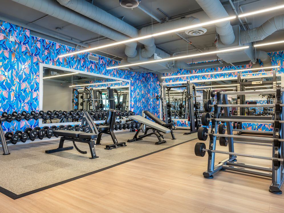 Fitness center with strength equipment