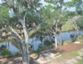 Grand Oaks at Ogeechee River Image 23