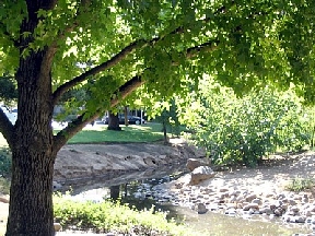 Sungarden Apartments and Duplexes Image 2