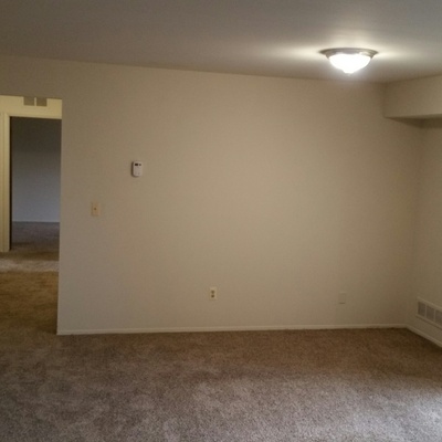 Strawberry Lane Image 12