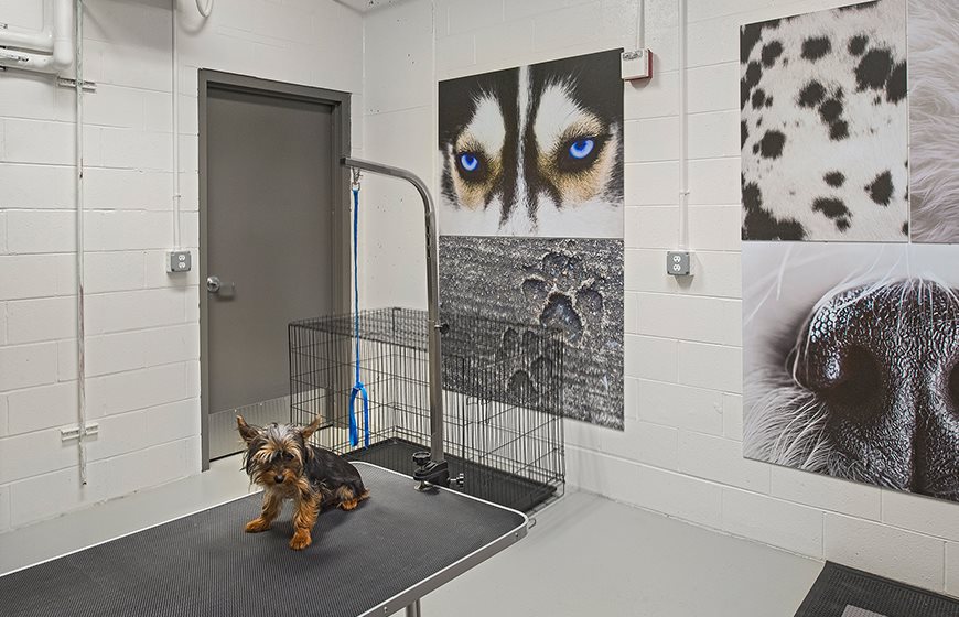 The Scott at Brush Park Image 7