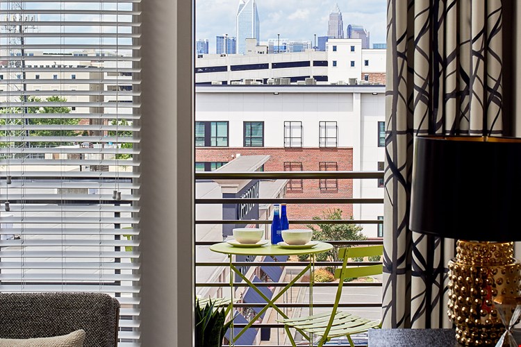 Selene at Southline Apartments Image 6