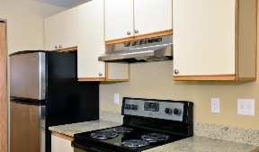 Silver Oak Image 4