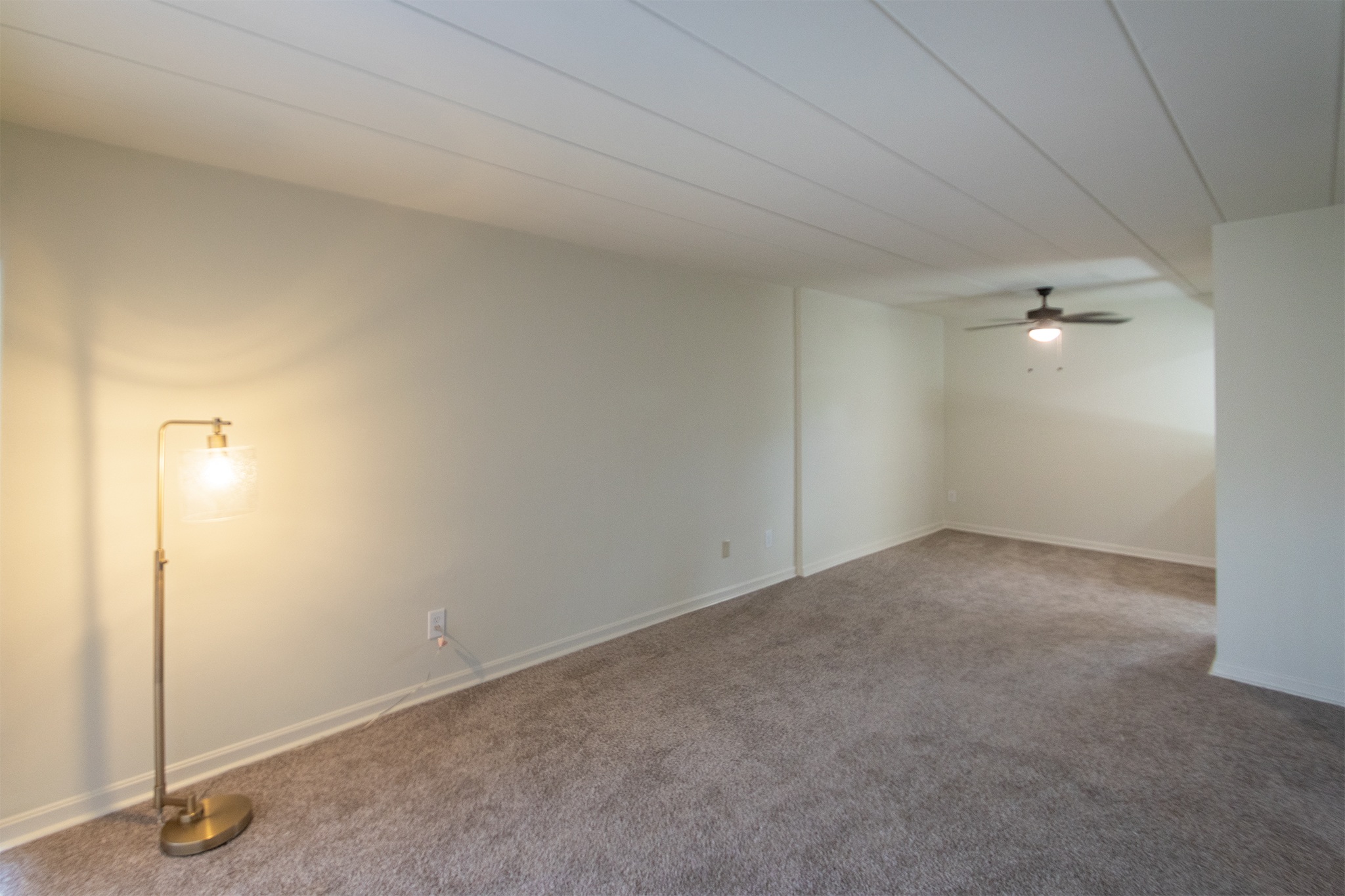 College Woods Image 30