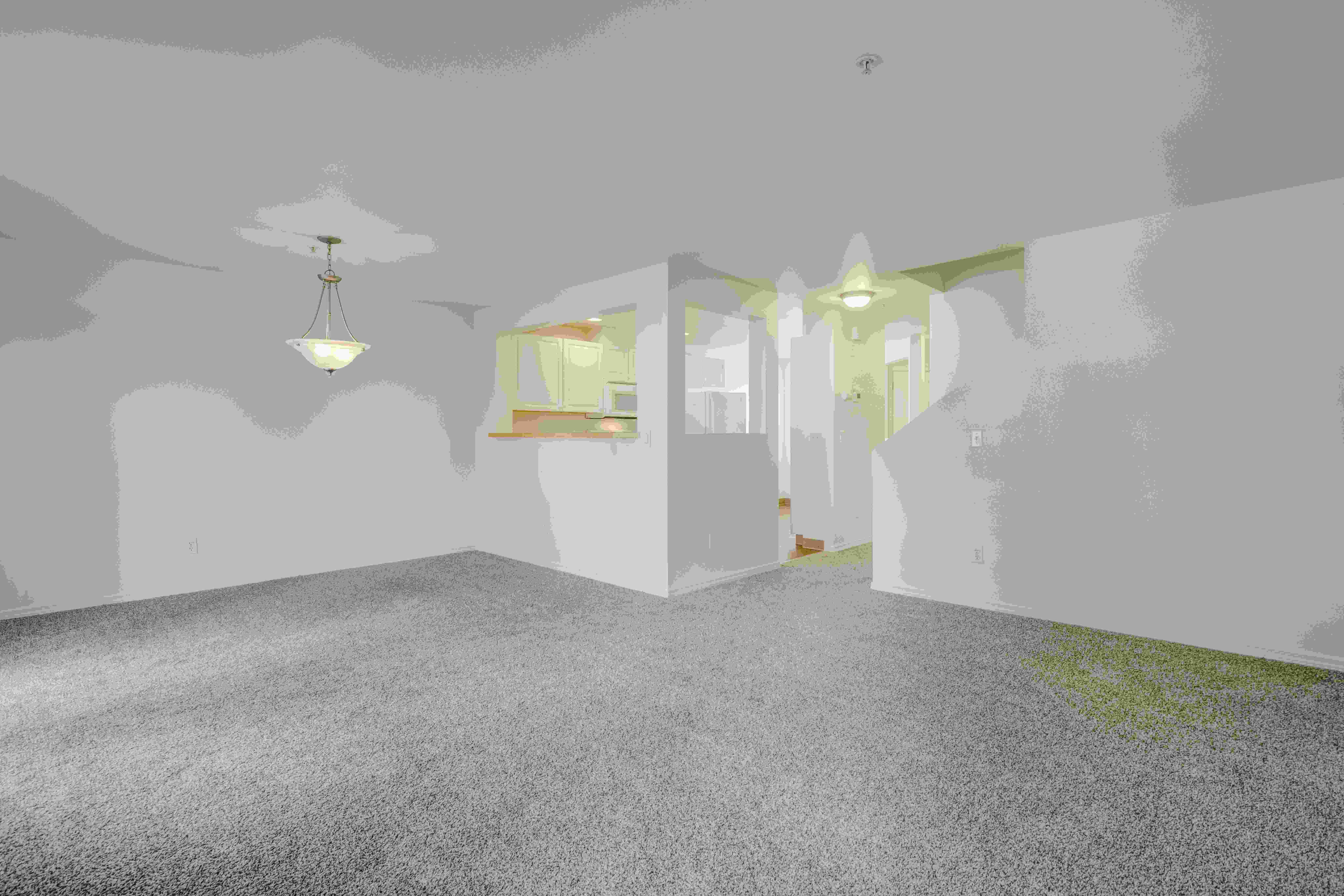 Langara Image 10