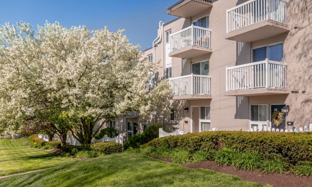 Curren Terrace Image 1