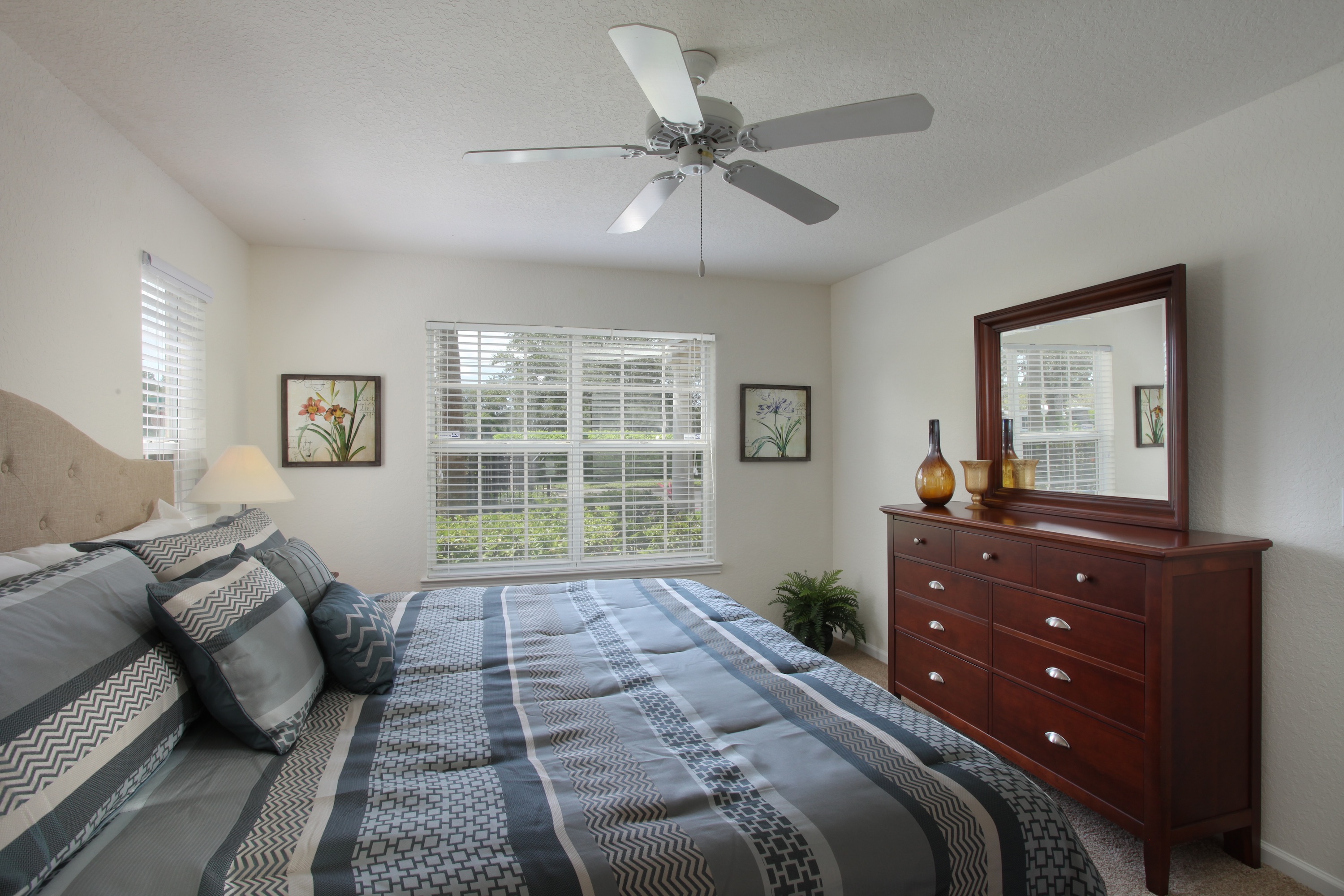 Cypress Grand Image 8