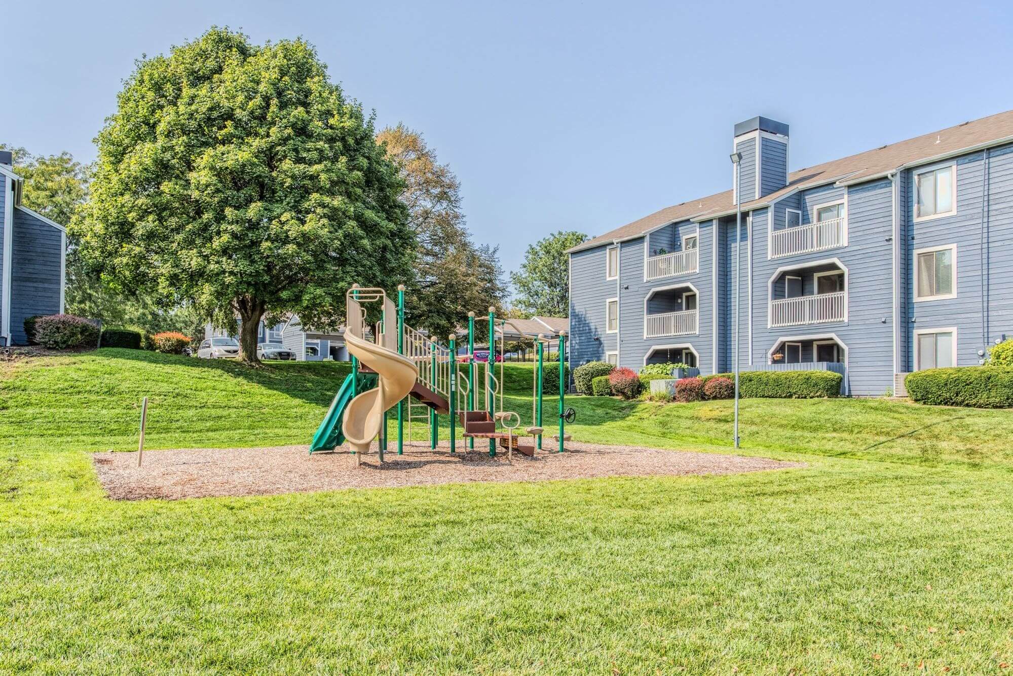 Perry 81 Image 19