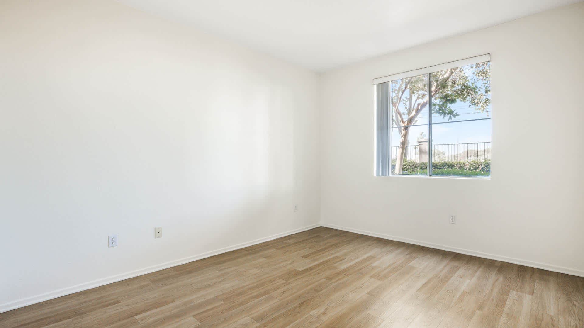 Centre Club Image 20