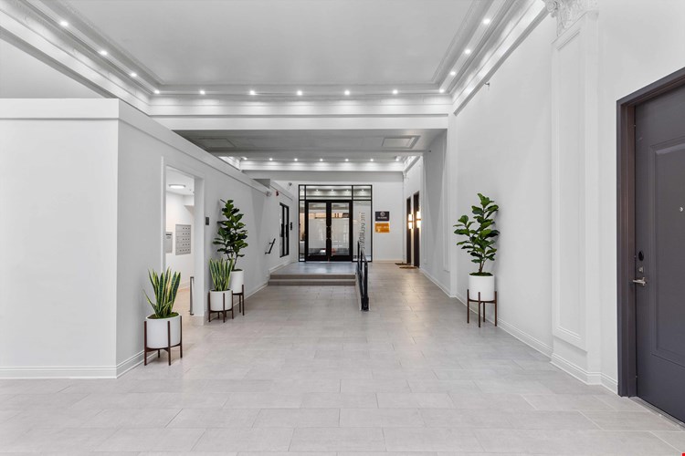 The Delmonte Image 18