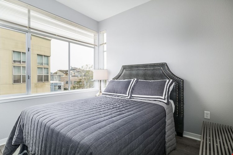 Soma Residences Image 22