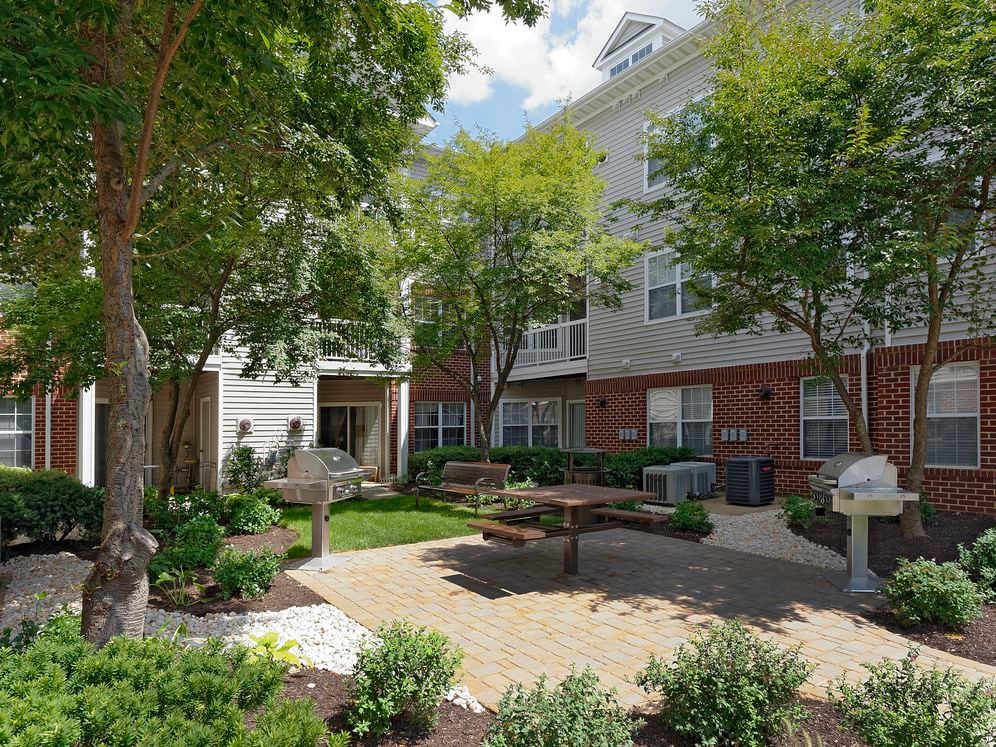 Courtyard with barbecue grills and picnic area