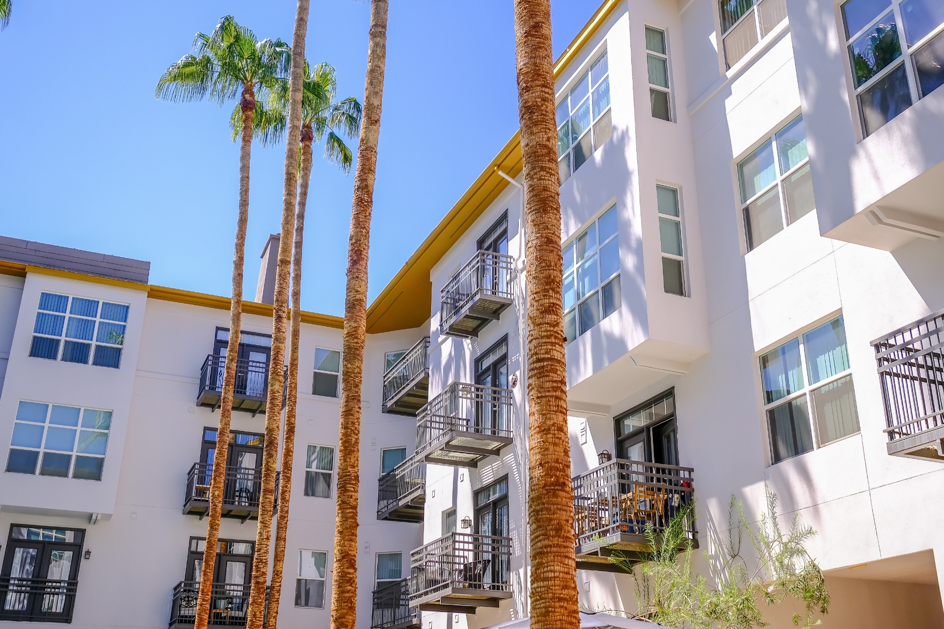 Roosevelt Square Image 29