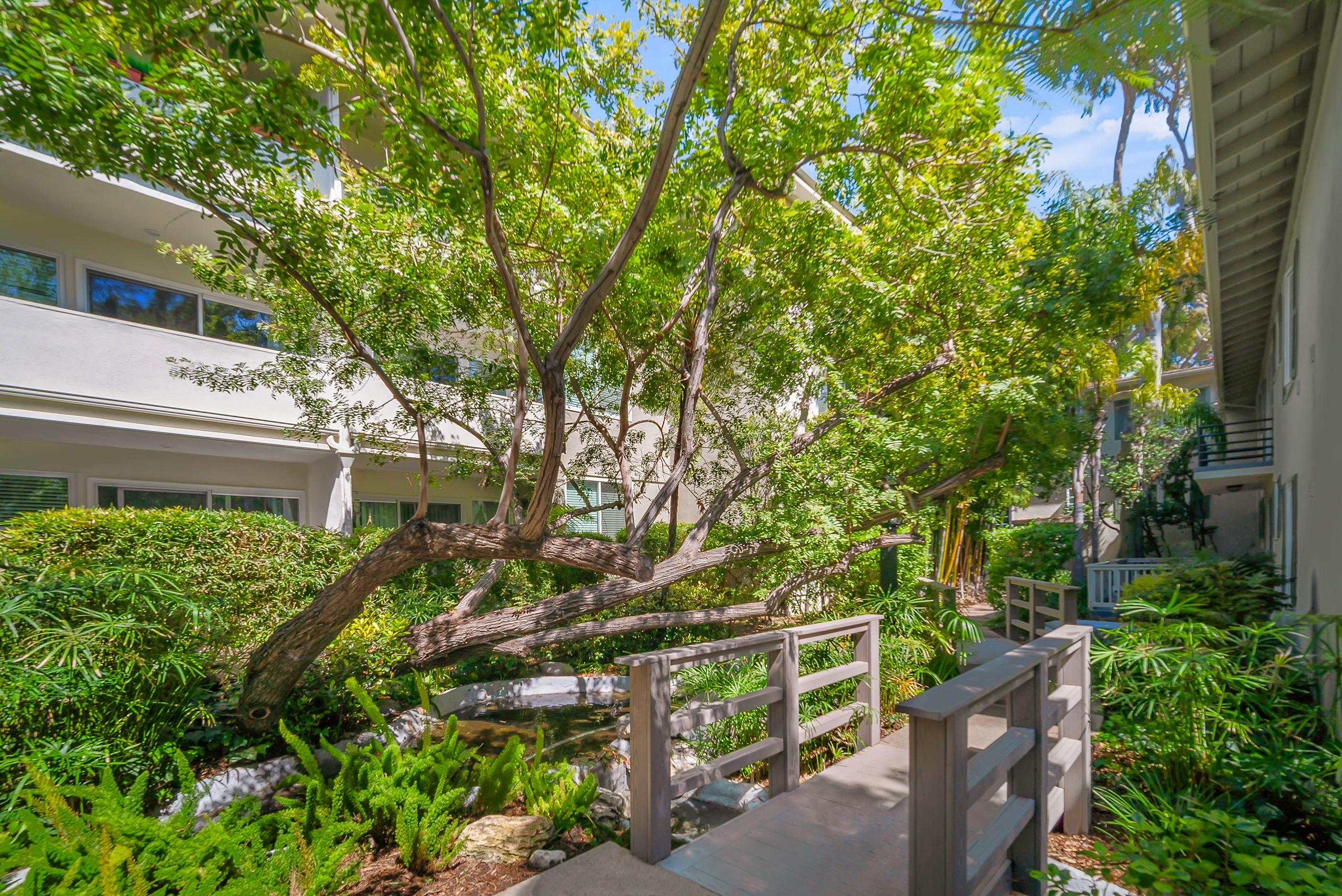 Sunset Barrington Gardens Image 2