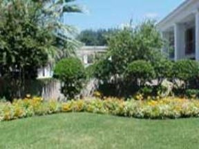 Lantern Village Image 1