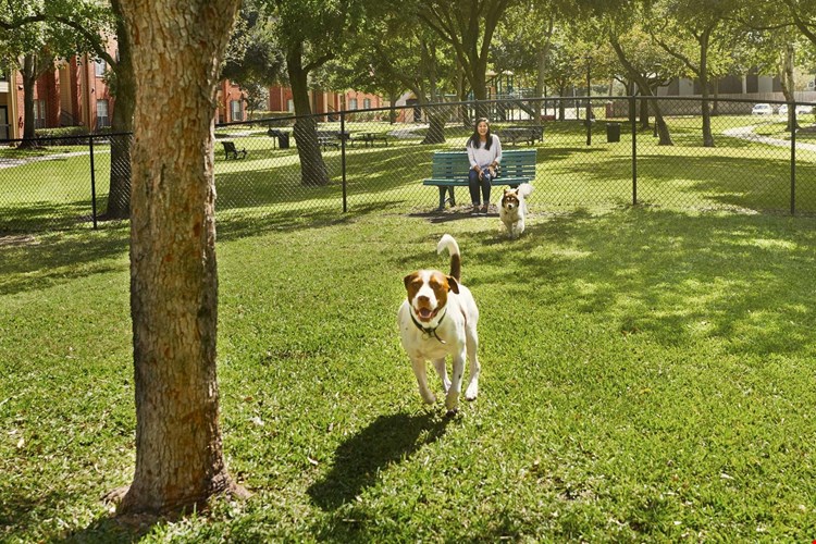 Camden Sugar Grove Image 25