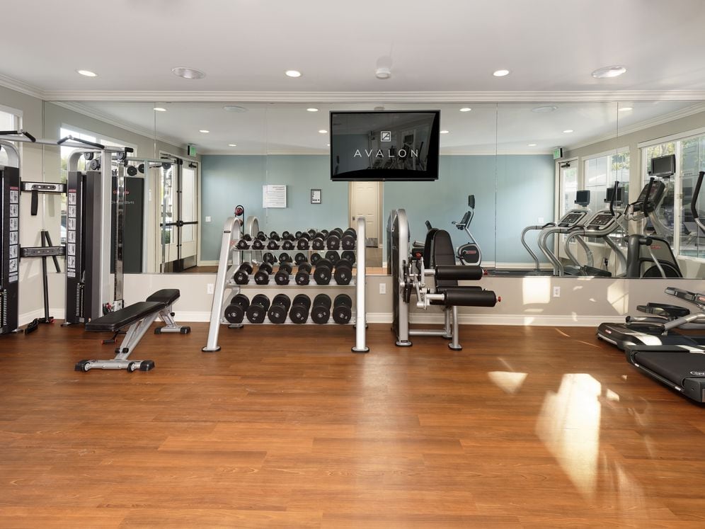 Fitness Center With Cardio And Strength Equipment
