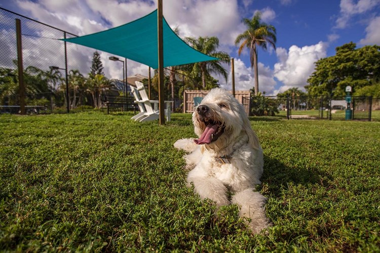Bring your four-legged friend down to our off-leash dog park, we have 2 on site!