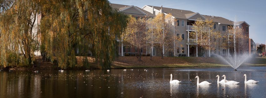 Wessex Apartments Image 3
