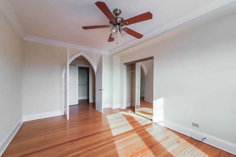 The Patricians Image 18