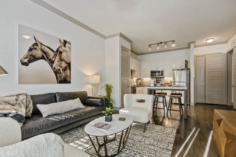 Reveal at Bayside Image 12