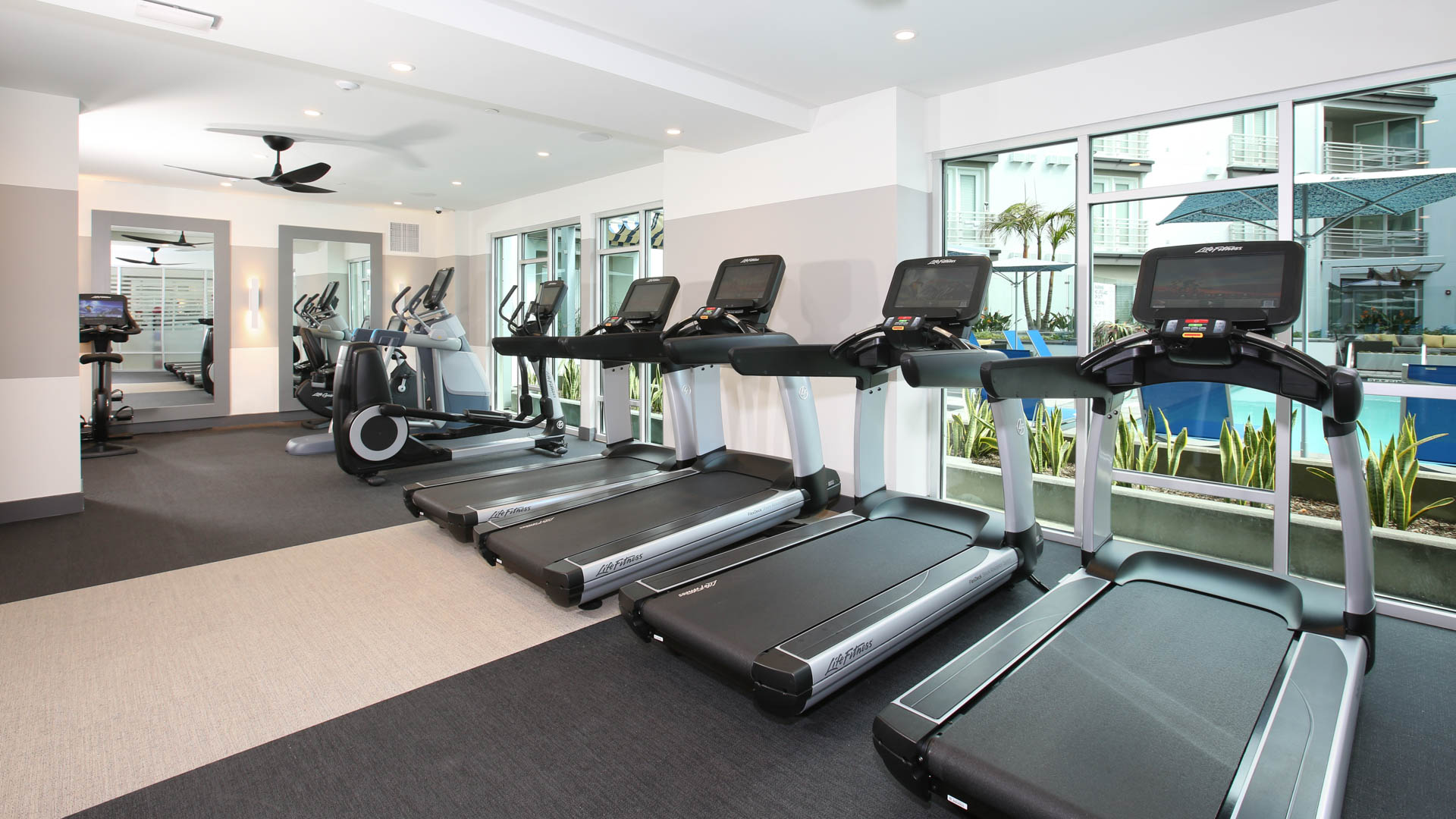 Altitude Apartments Image 4