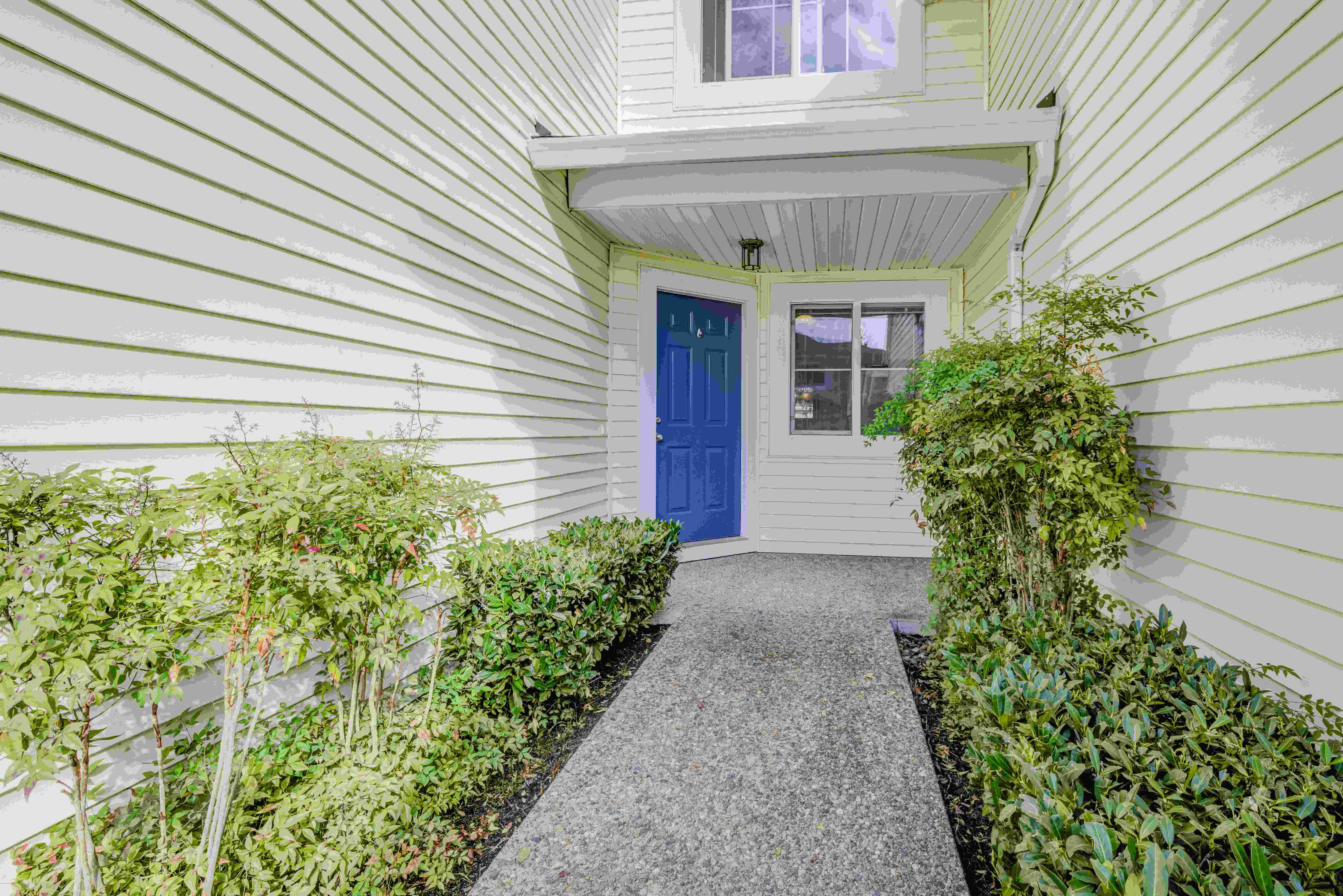 Langara Image 18