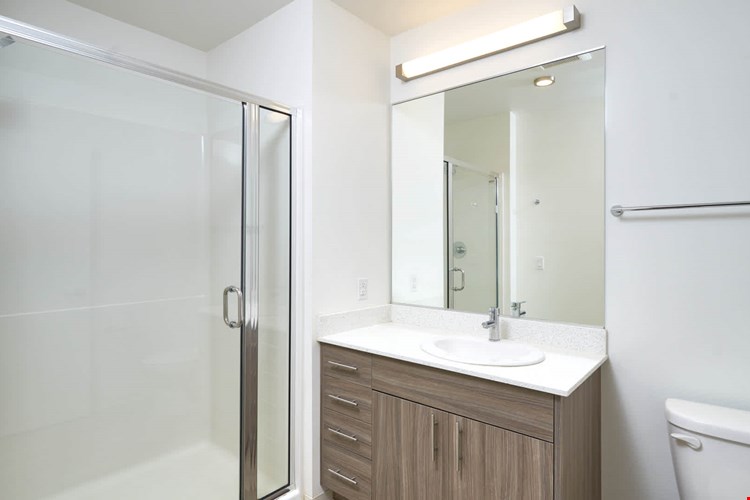 Springline  Image 19