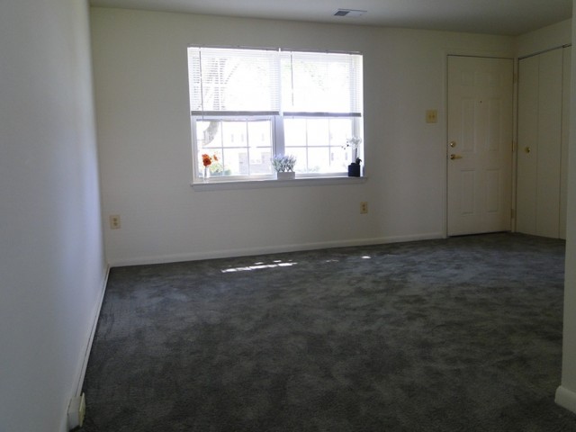 The Village Of Carrollwood Image 5