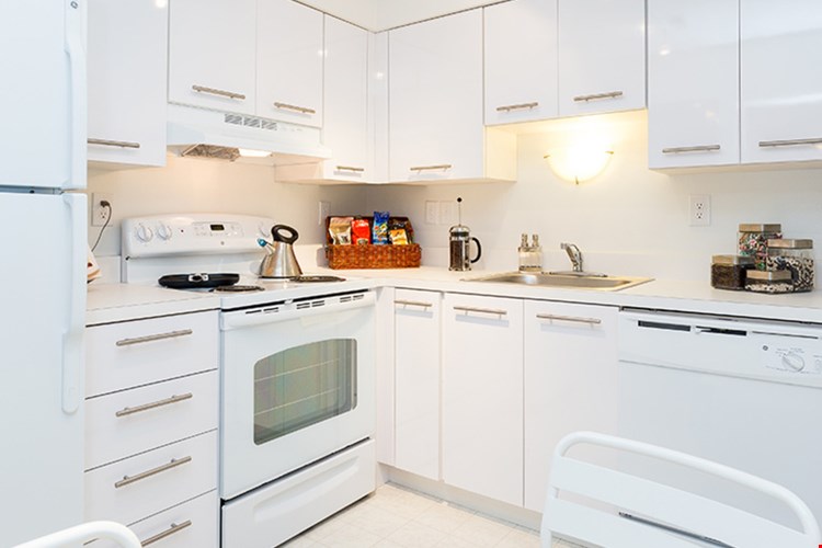 Saddle Creek Image 58