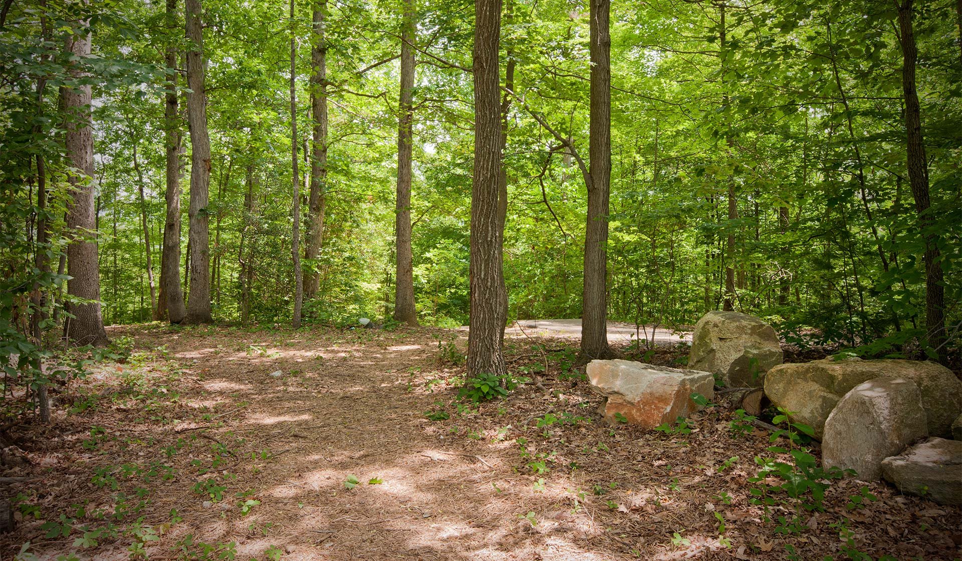 Several walking trails in the area