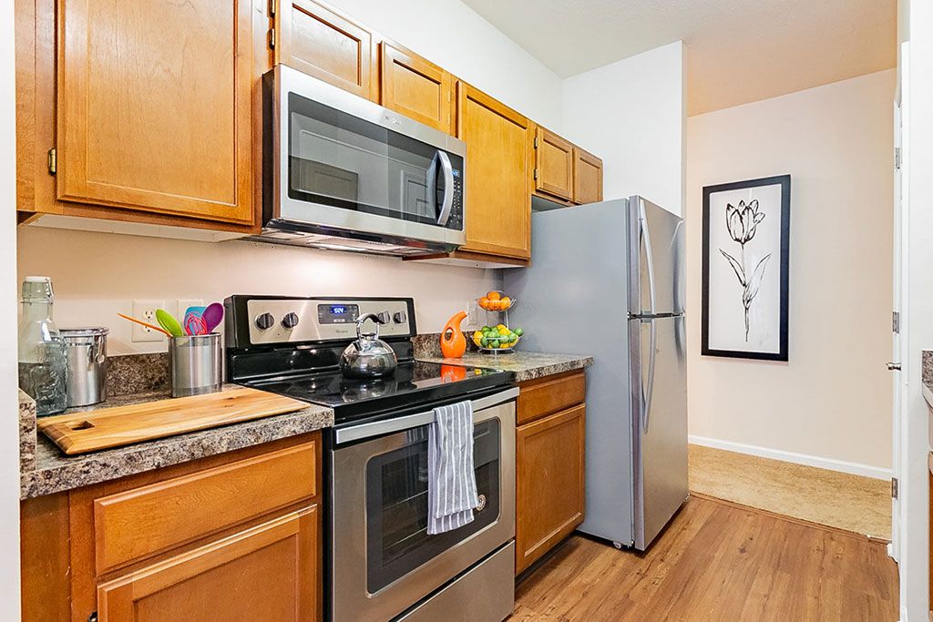 Elevate on main Image 9