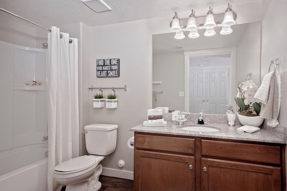 Boulder Canyon Image 19