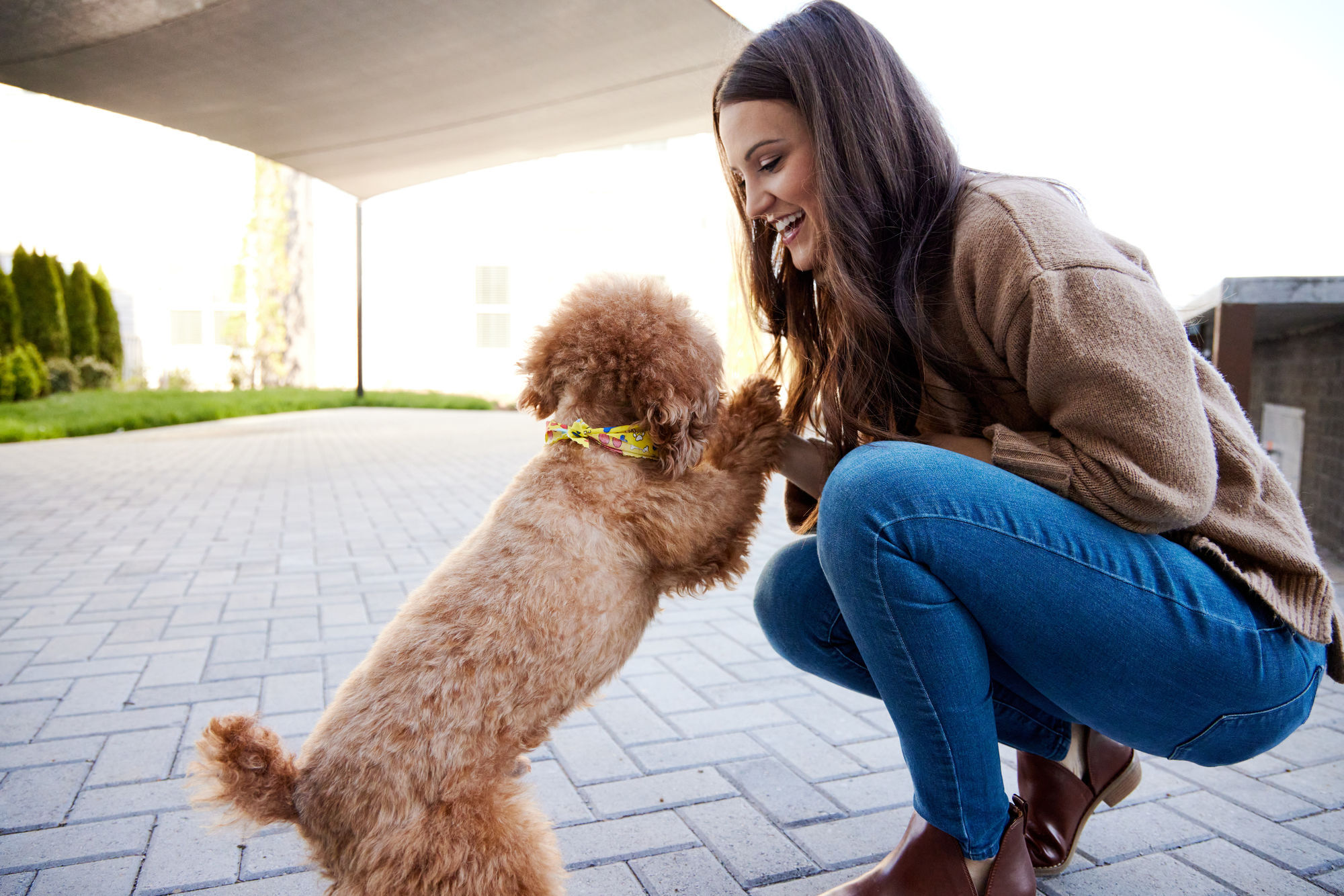 Novel West Nashville by Crescent Communities Image 99