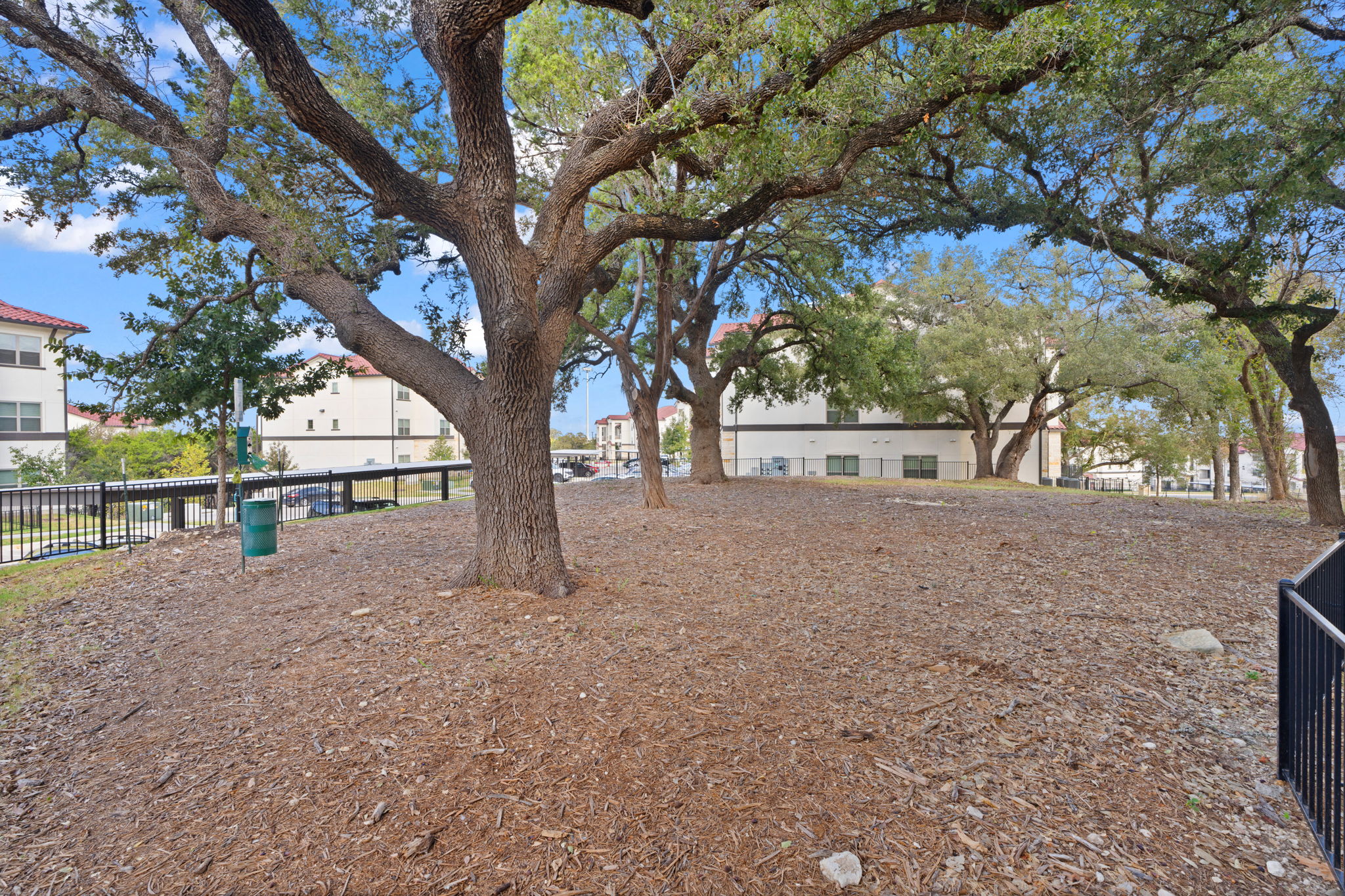 Water Oak Image 85